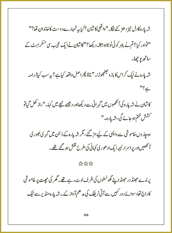 Page 205, page 1