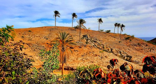 Canaria, Kanaren, Fuerteventura, Pflanzen- und Tier-Park bei La Lajita , in und mit interessanter Umgebung , 24399 | by roba66
