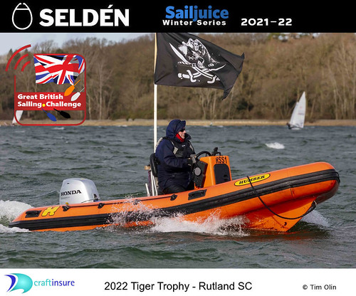 tiger_51873376319_o