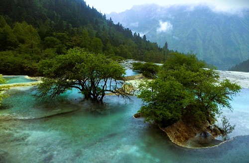 Turquoise beauty | by stephenhjcole