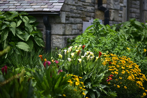 Junaluska Chapel Garden