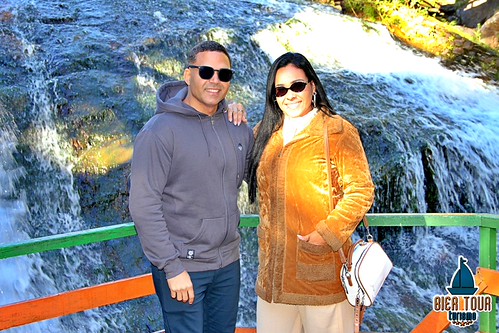 batch_IMG_8318