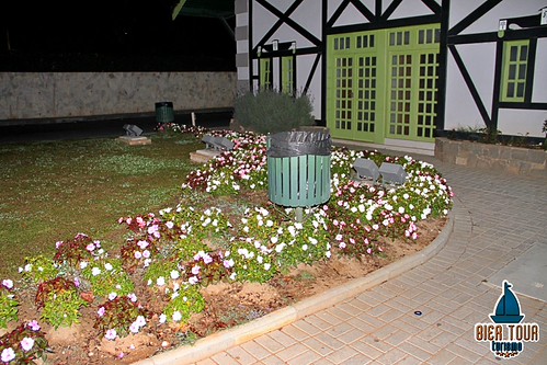 batch_IMG_8255
