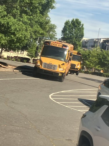 CMS Bus 311 | by ct-337