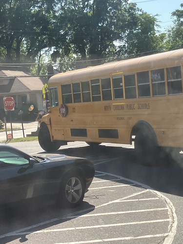 CMS Bus 213 | by ct-337