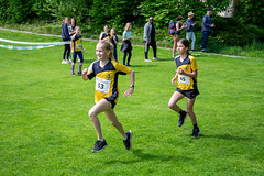 Crosslauf 2023