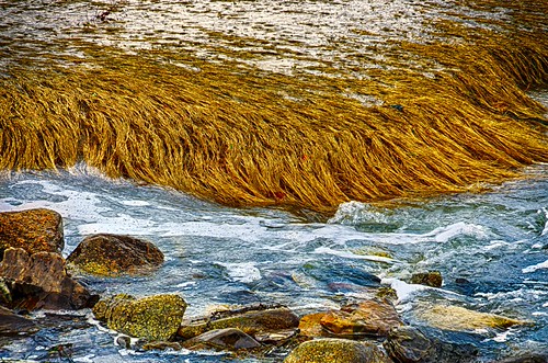 Happy Sliders Sunday! | by Bud in Biddeford, Maine