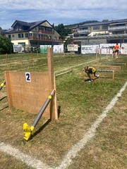 Turnfest Seengen Jugend
