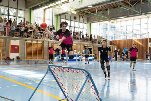 Geneva Dragons – Val-de-Ruz Flyers