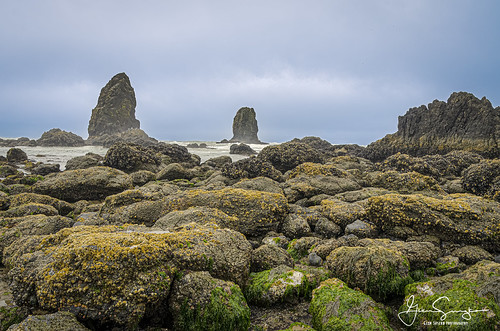Cannon Beach