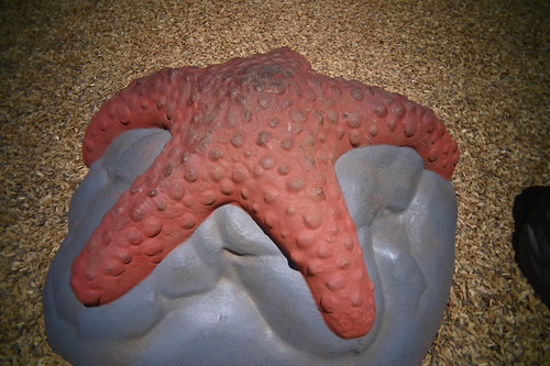 Starfish