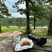 Day 166 Picnic Time