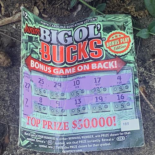 juniorBucks