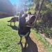 IMG-20260617-WA0108