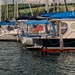 Watkins Glen Boat Brigade 2026
