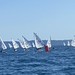 Regata Zonale ILCA Giugno 2026