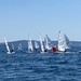 Regata Zonale ILCA Giugno 2026