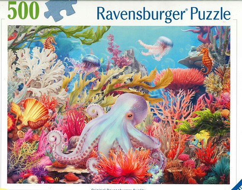 Reef Life