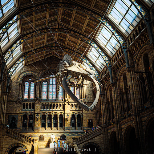 Natural History Museum