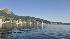 50 Meilen 2026