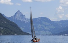 50 Meilen 2026