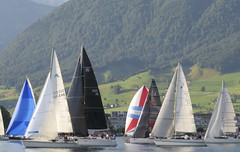 50 Meilen 2026