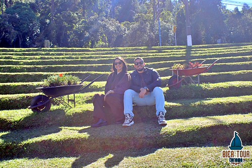 batch_IMG_0968