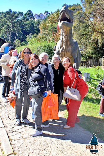 batch_IMG_0958