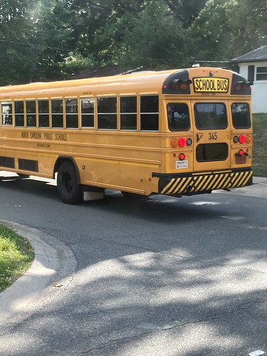CMS Bus 345 | by ct-337