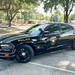 Mineola Police Department