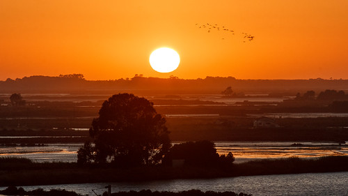 24/2026 by vitor-s-cruz, [EN]
It was ten years ago. But… what if that had been the last sunset? What if those flamingos had s