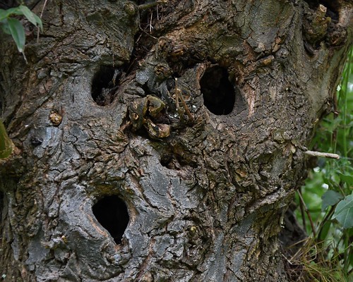 I see faces | by Martijn van Veelen