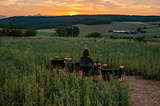 Sunrise or sunset photo of Sontra