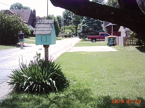 Thumb Camera Shots | by shelleyhicklin