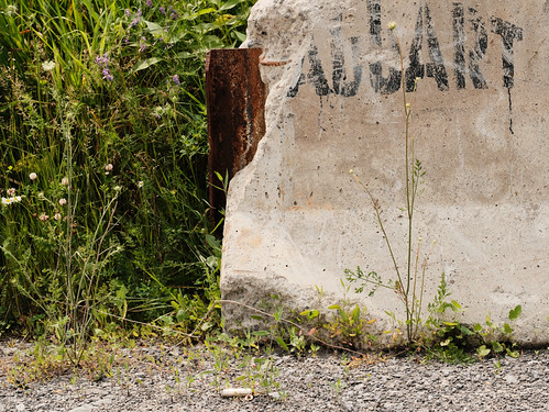 Rustic Roadside