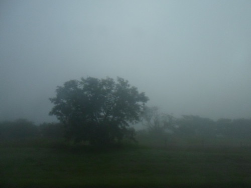 foggy | by deviantnatalie