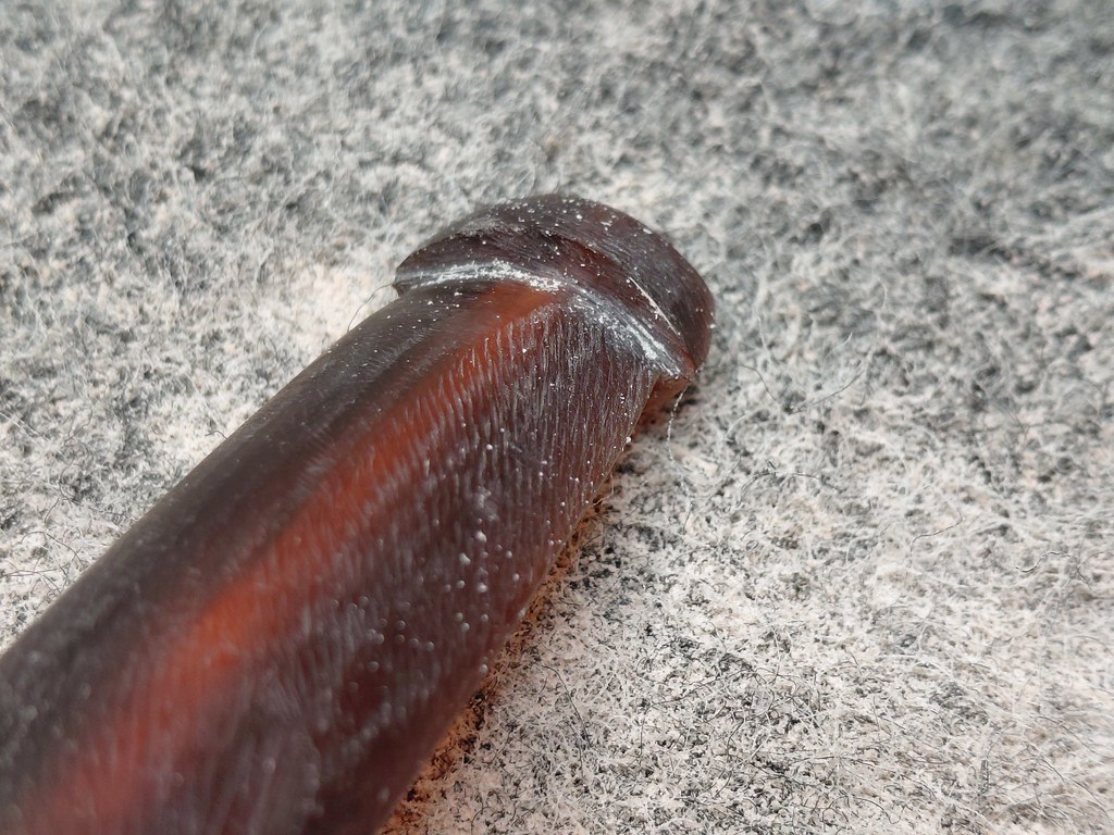 20260708_113734