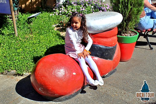 batch_IMG_7967