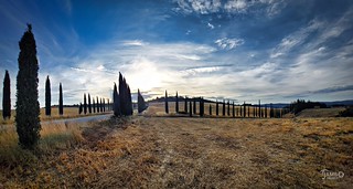 Flickr photo: Tramonto sul Viale dei Cipressi - Sunset on the Cypress Avenue (Explore Jul 15, 2026 - 131)