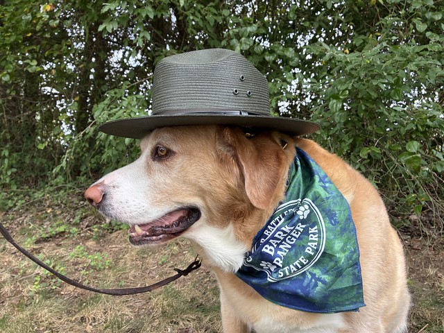 Culpeper BARK Ranger