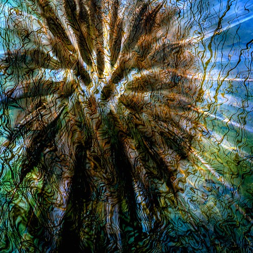 Double Exposure | by Don White (Burnaby)