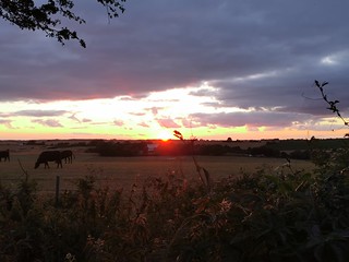 Flickr photo: Sunset over Cliffe 26-07-18 (09)