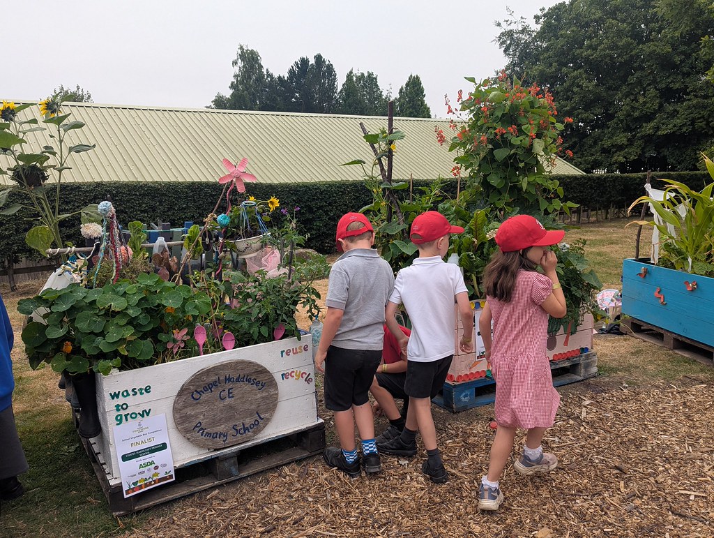 School Veg Boxes on display at the Great Yorkshire Show