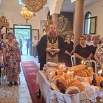 Πρ. Ηλία - Ριζώματα