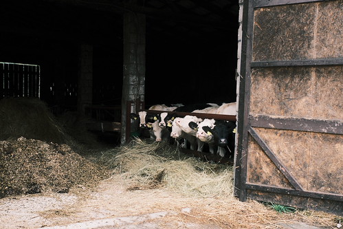 Somewhere in the countryside