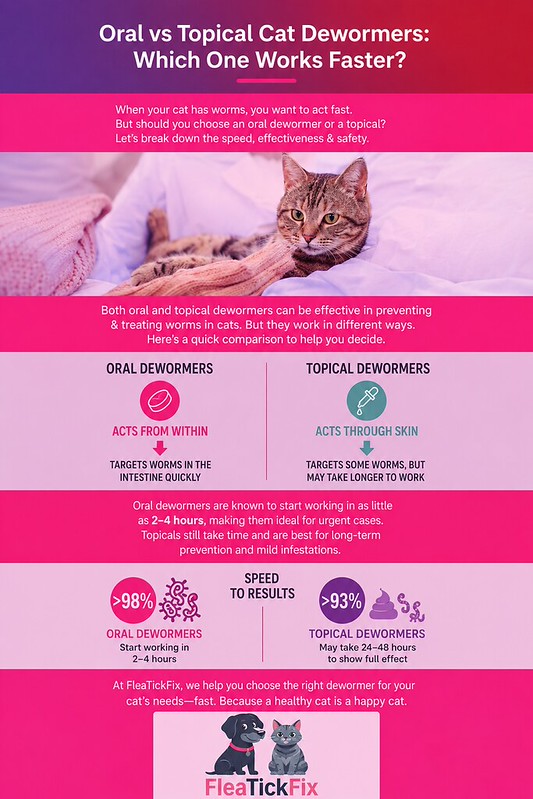 Oral vs topical cat dewormers comparison