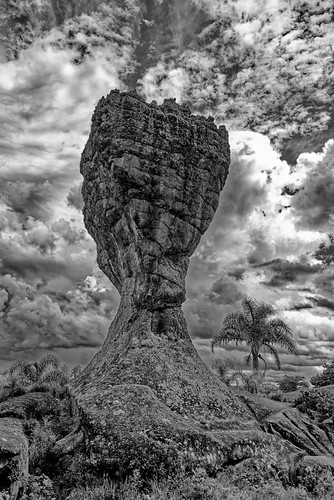 The Cup, Vila Velha, PR, Brazil