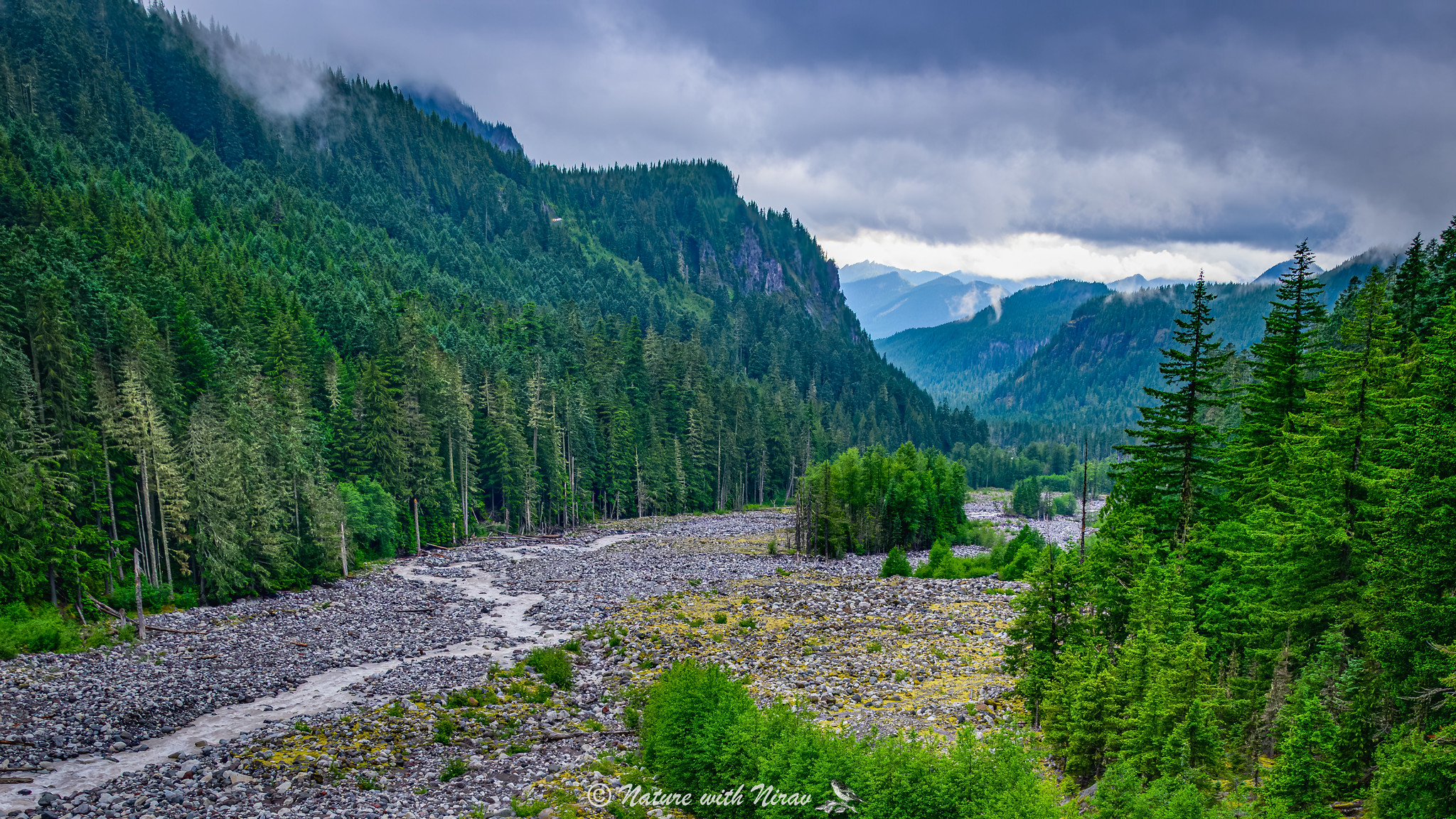 Nisqually river