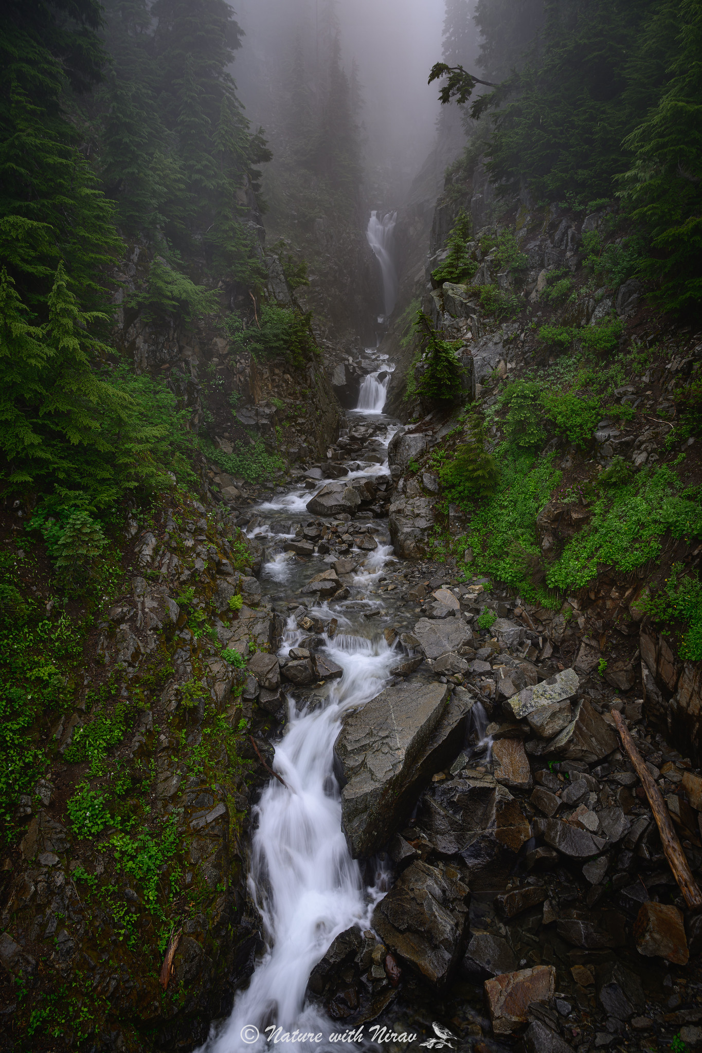 Myrtle Falls