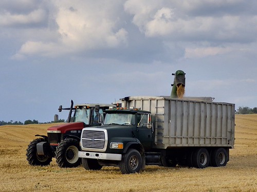 Versatile 2210 and 1997 Ford LTS-9000 Grain Dump Truck | by mike_slapattack